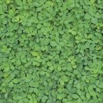 終活やってみる